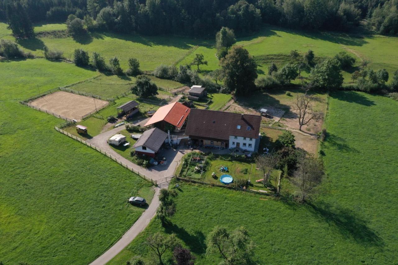 Carlo Daire Wangen im Allgäu Dış mekan fotoğraf