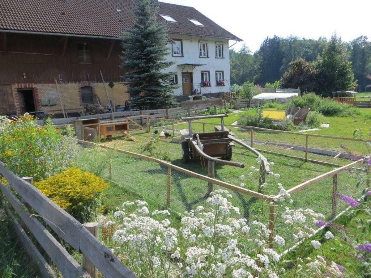 Carlo Daire Wangen im Allgäu Dış mekan fotoğraf