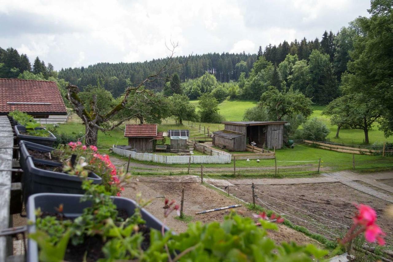 Carlo Daire Wangen im Allgäu Dış mekan fotoğraf