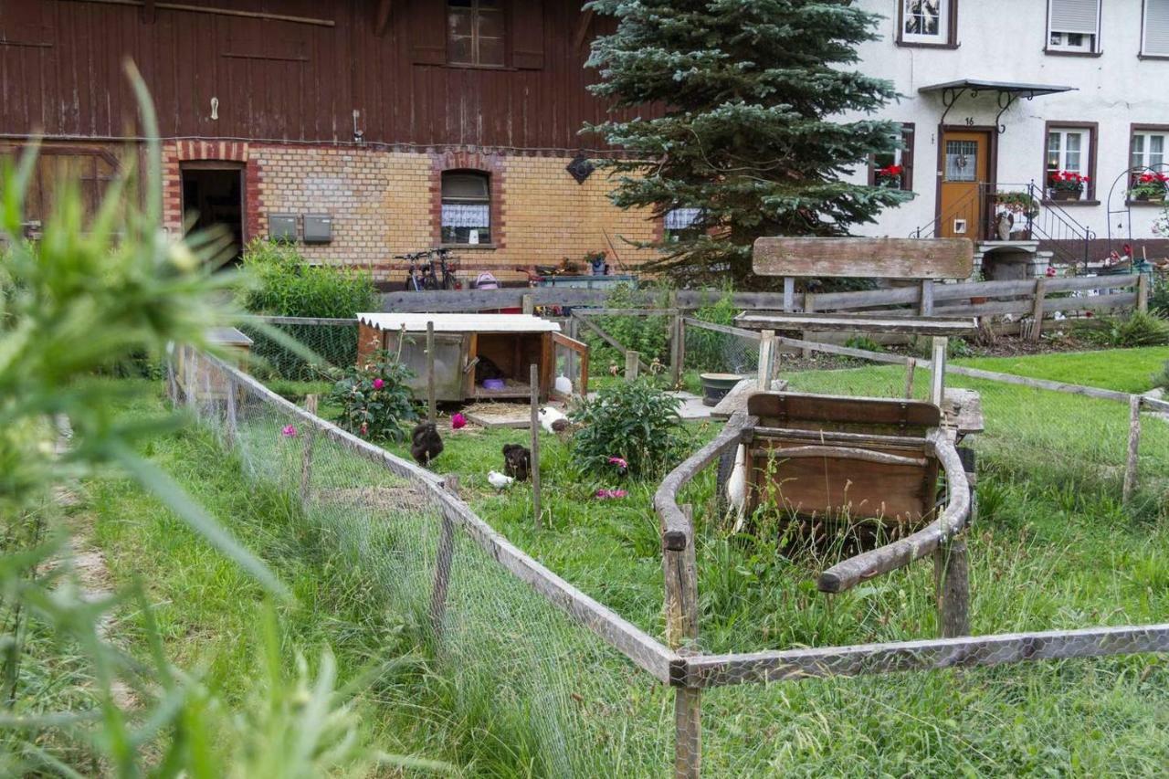 Carlo Daire Wangen im Allgäu Dış mekan fotoğraf