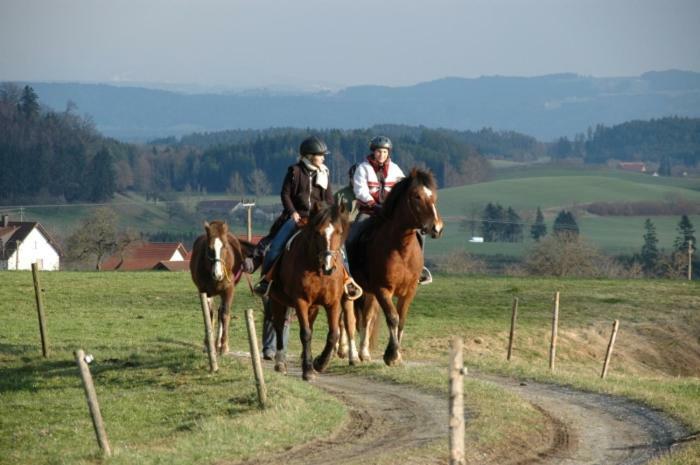 Carlo Daire Wangen im Allgäu Dış mekan fotoğraf