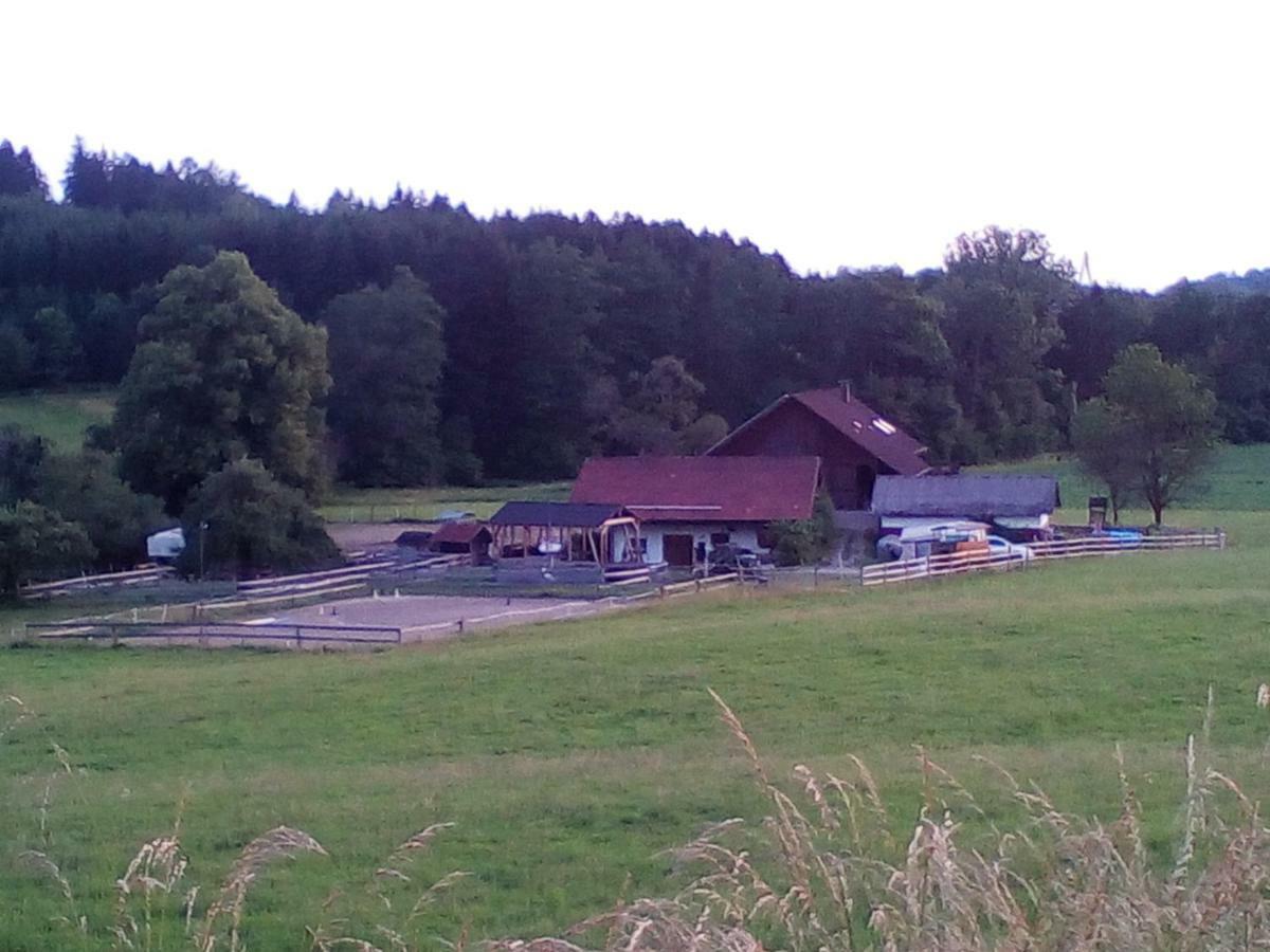 Carlo Daire Wangen im Allgäu Dış mekan fotoğraf